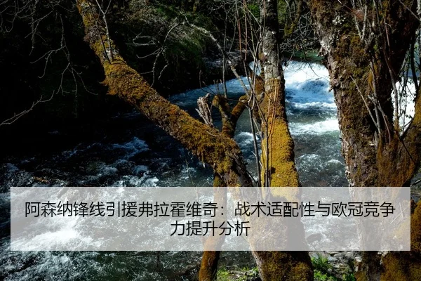 a-sen-na-feng-xian-yin-yuan-fu-la-huo-wei-qi-zhan-shu-shi-pei-xing-yu-ou-guan-jing-zheng-li-ti-sheng-fen-xi-2-935.jpg